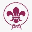 Scouts & Guides